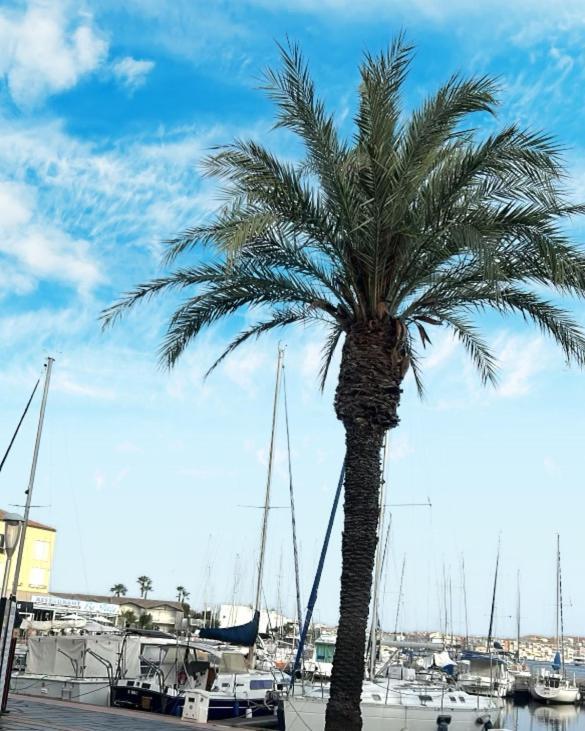 Studio Cosy Climatise Vue Sur Port Agde Esterno foto